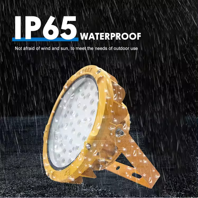IP65 Waterproof Flameproof Led Light Explosion Proof Lamp 200w 240w 300w