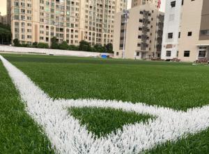Quality Dtex Stem Shape Artificial Football Turf For Disease Resistance wholesale