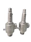 DN25 Cryogenic Full Open Safety Valve For LNG Tank