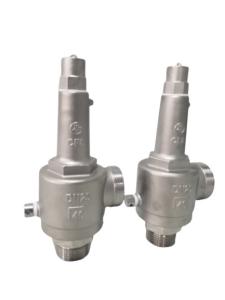 Quality Threaded DN15 CF8 Cryogenic Fall Lift Safety Valve wholesale