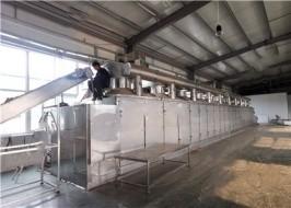 Quality Labor Saving Steel Belt Kiln Direct Heating For Firing Blue Bricks / Tiles wholesale
