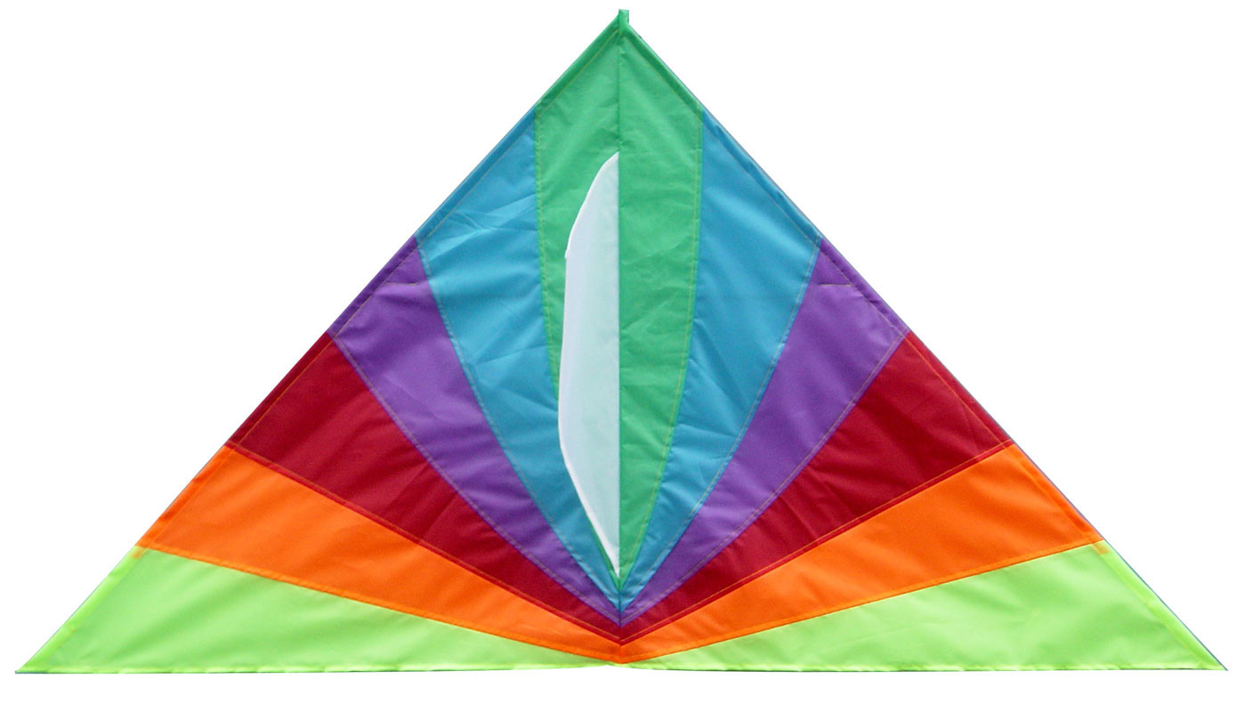 Customized Color Nylon Kites , Kids Playing Kite 264*132cm 2-5bft Swing Range