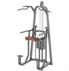 Quality Commercial Gym Fitness Glute Machine Gym Exercise Equipment 500 Lbs wholesale