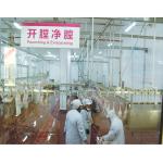 Automatic Poultry Farm Machinery Duck Turkey Chicken Slaughter Bleeding