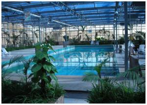 Quality Eco Friendly Ecological Greenhouse High Strength Hot Dip Galvanized Steel Structure wholesale