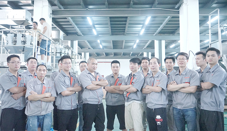 Automatic Four Sealing VFFS Packing Machine for Chocolate Dry Food