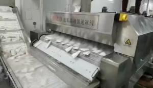 Quality 2000KG/H 2200KG/H Liquid Nitrogen Iqf Tunnel Freezer Oem wholesale