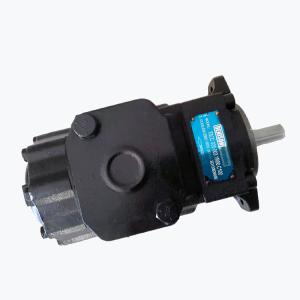 Quality Double Industrial Vane Pump Denison T6CCM T6DCM T6ECM T6EDM T6EEM wholesale