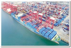 Quality Import Export Shipping From America wholesale