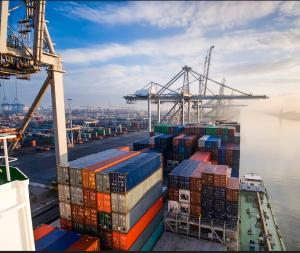 Quality Sea Freight Efficient Customs Clearance wholesale