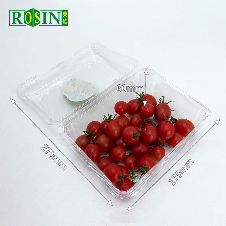 Disposable Clear PET Clamshell Hinged Lid Container Packing Supermarket Plastic Blister Fruit Salad Box With Holes