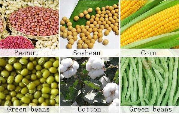 Grain Soybean Farming Tools Equipment Multi Functional Seed Planter Machine