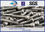 Railroad Track Bolts Fish Bolts hexagon head bolt for railway fastening system