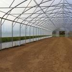 Tomato Poly Greenhouse Agricultural Tunnel Plastic Greenhouse For Drip