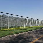 Venlo Roof Glass Green House For Agriculture 10.8m Lettuce Leaf Vegetable Salad