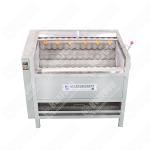 Washing Machine For Dates Hot Sale Dry Date Palm Washing Cleaning Machine Palm