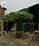 UVG indoor large fake trees realistic banyan tree with silk leaves for sale
