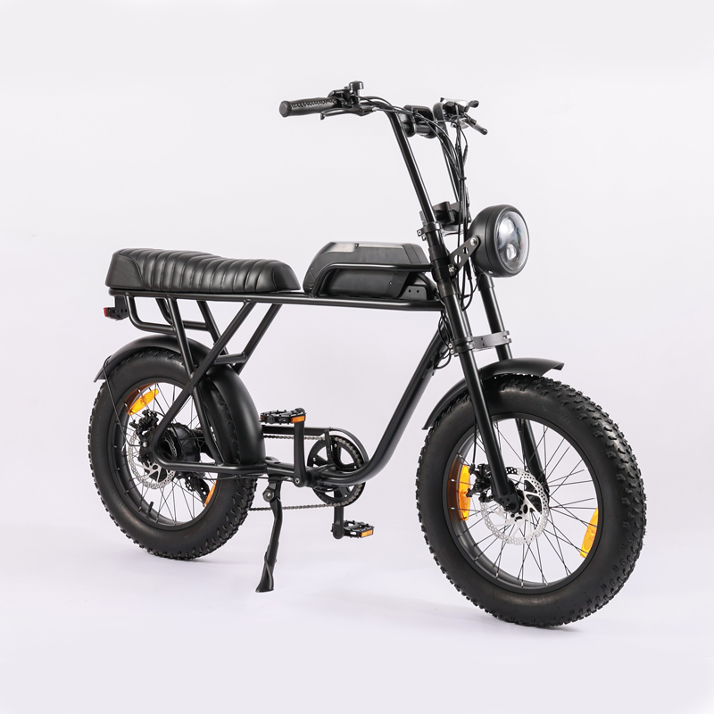 48V1000W Motor Full Suspension Shock Electric Retro Bike with Customised Beach Bikes Cruisers
