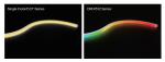 IP68 Waterproof Neon Flex Rope Light DC24V LED Neon Lights For Swimming Pool