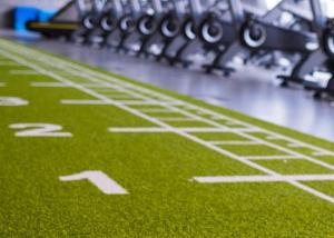 Quality Athletic Workout Fitness Training Artificial Grass Turf For Gym OEM ODM wholesale