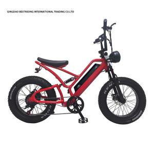 Quality 48V10Ah Lithium Battery 5000w Electric Bike For Adults 20 Inch Fat Tire Ebike wholesale