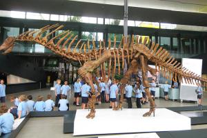 Quality Realistic Complete Dinosaur Fossil , Simulation Full Dinosaur Skeleton wholesale