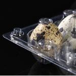 24 Hole Disposable Plastic Egg Containers PVC Vacuum Formed Transparent