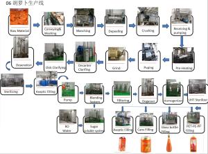 Quality Automatic Carrot Beverage Juice Processing Line SS304 Easy Operation wholesale