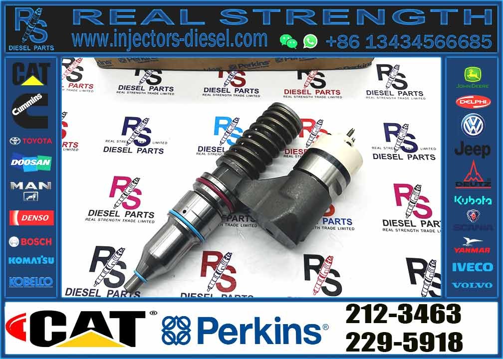 Excavator Common Rail Diesel Engine Parts 3176 3176C C7 C10 Fuel Injector 212-3463 116-8888 161-1785 317-5278 203-7685
