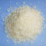 ZX Company's new product Gelatin production line Gelatin extraction equipment