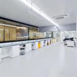 Shopping Mall Cleanroom PVC Flooring Indoor Plastic Flooring Antistatic For