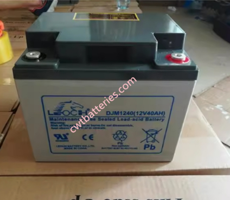Customized 12V 24AH Batterie Agm VRLA DJM12-24 LEOCH Agm Battery