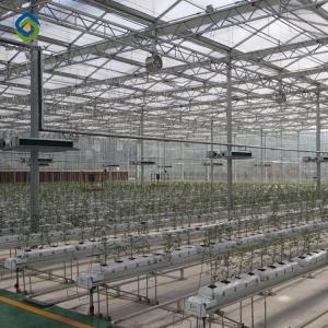 Quality Width 6M 8M 10M Polyethylene Film Greenhouse Uv Resistant wholesale