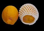 EPE Foam Net Sleeve For Fruit & Vegetable Packing