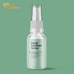 Decrease Infectious FDA 75 Alcohol Hand Sanitizer Spray
