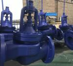 DIN bellows globe valve PN16 body GG25