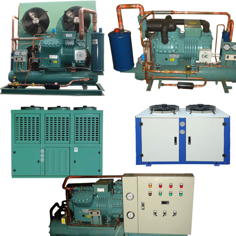 Low Temperature Cold Storage Compressor Cold Room Freezer Refrigeration Condensing Unit