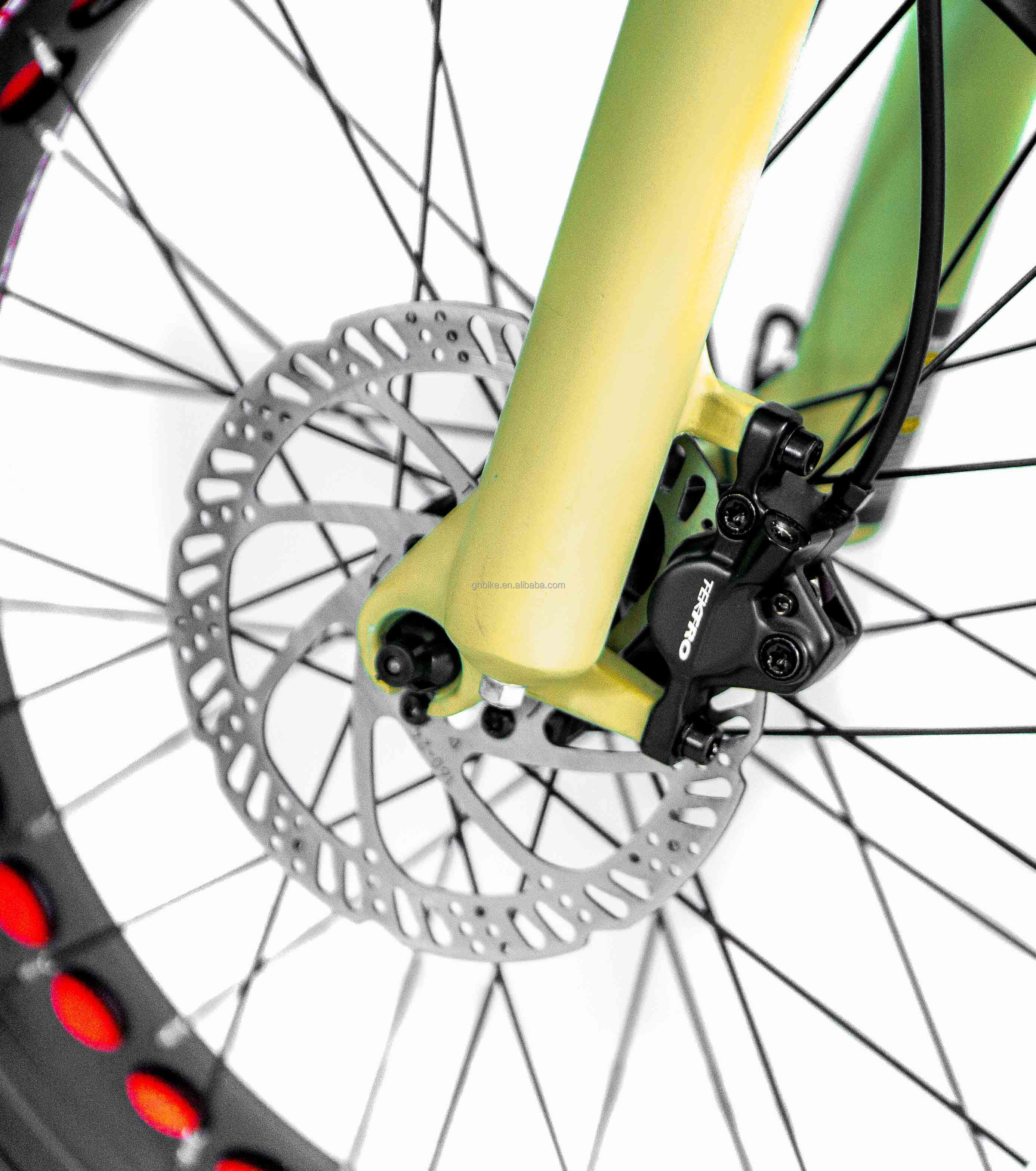 Aluminum Alloy Frame 48V34AH 1000W Fat Tire Ebike with Dual Batteries and Two Baskets