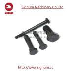 Clip Bolt for Rail Fishplate, High Quality Curve Spear Tunnel Bolt for Concrete