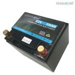 LiFePO4 42Ah 12V Rechargeable Battery Pack 4S7P Cell