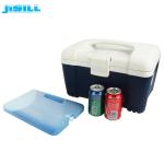 Professional Children'S Ice Packs Ice Gel Eutectic Plate For Cooling CPSIA