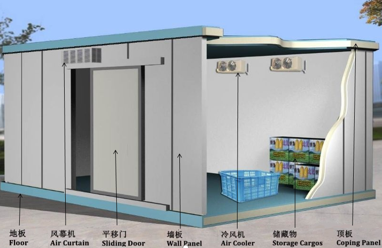 Customized Cold Storage Room Chiller Freezer Room With Condensing Unit Compressor
