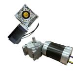 12v 24v 48v electric dc worm gear motor with Worm Gearbox heavy duty 10Nm 20Nm