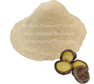 Quality Sell Certified Kosher Soup Ingredient Freeze Dried Shiitake Mushroom Powder wholesale