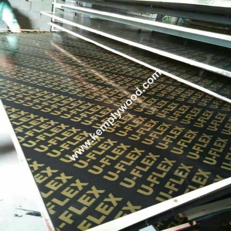 Poplar core 18mm film faced plywood, black film faced plywood, black shuttering plywood