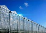 Hollow Glass Style Agricultural Greenhouse With Hot Galvanized Steel Frame