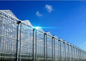 Quality Hollow Glass Style Agricultural Greenhouse With Hot Galvanized Steel Frame wholesale