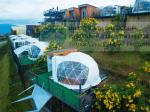 Star Gazing Geodesic Dome house Transparent PVC Coated Polyester Fabric