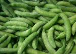 HACCP Delicious IQF Frozen Steamed Sugar Snap Peas