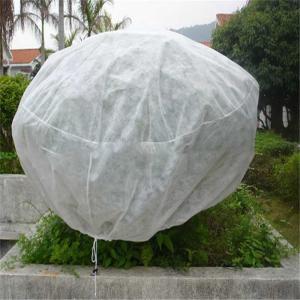 Quality Agricultural PP Spunbond Nonwoven Fabric 165gsm Breathable wholesale